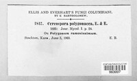 Image Associated With the Occurence